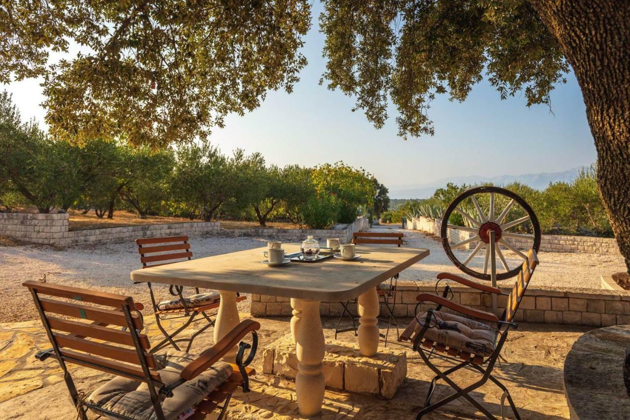 Villa Dubrava Tranquil Retreat Nestled In An Olive Grove For Serene Escapes Pucisca Exteriér fotografie