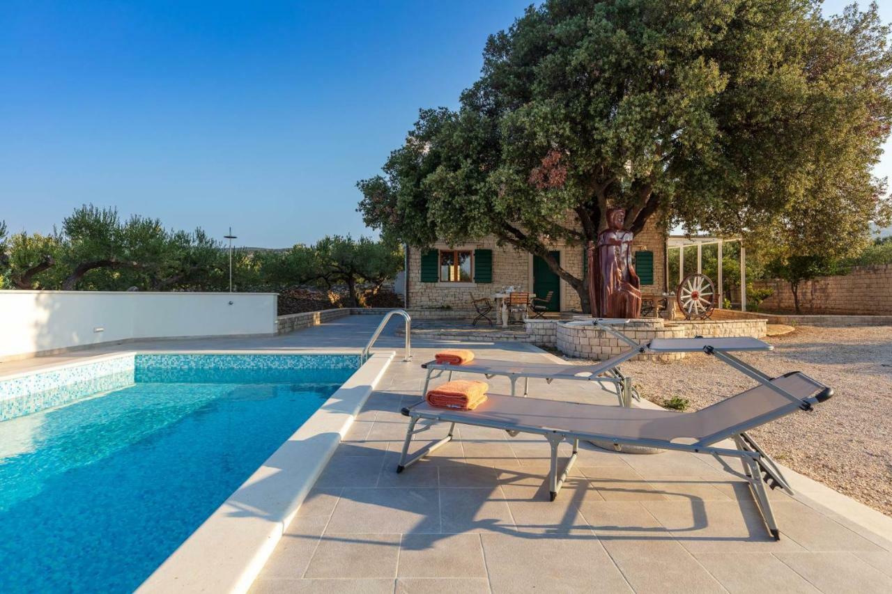 Villa Dubrava Tranquil Retreat Nestled In An Olive Grove For Serene Escapes Pucisca Exteriér fotografie