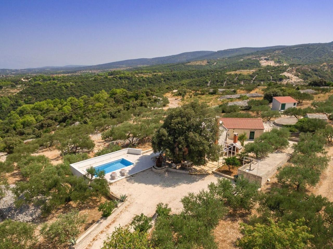 Villa Dubrava Tranquil Retreat Nestled In An Olive Grove For Serene Escapes Pucisca Exteriér fotografie